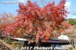 ki341d-20171121-9610.jpg