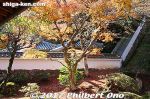 ki341w-20171121-9663.jpg