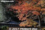 ki341x-20171121-9635.jpg