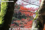 ki341zd-20171121-9682.jpg