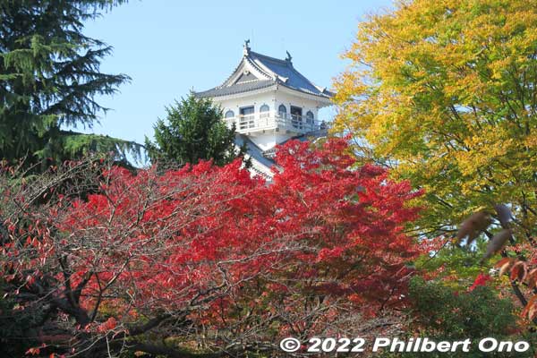 Keywords: shiga nagahama castle hokoen park autumn leaves foliage Keywords: shiga nagahama castle hokoen park autumn leaves foliage
