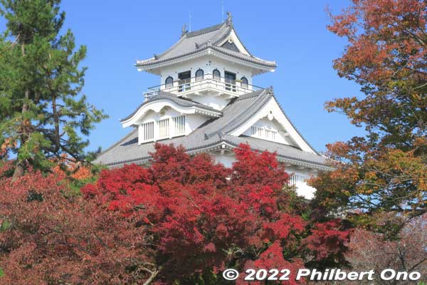 Nagahama Castle in autumn.
Keywords: shiga nagahama castle hokoen park autumn leaves foliage