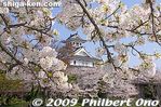 ch149-20090410_8926.jpg