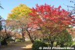 Filename=nt069-20221112_4928.jpg
Filesize=60KiB
Dimensions=600x400
Date added=Nov 13, 2022 nt069-20221112_4928.jpg