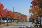 Filename=nt083-20221112_4938.jpg
Filesize=38KiB
Dimensions=600x400
Date added=Nov 13, 2022 nt083-20221112_4938.jpg