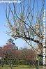 pl026-IMG_1555.jpg