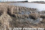 ha015-20090208_2811.jpg