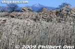 ha016-20090208_2817.jpg