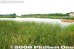 ha023-20080618_5964.jpg