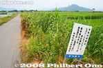 ha032-20080618_5957.jpg