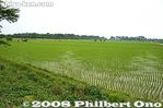 ha036-20080618_5989.jpg