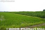 ha038-20080618_6002.jpg
