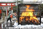 to392-IMG_4641.jpg