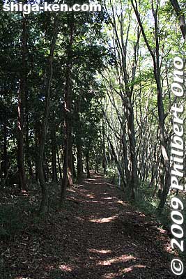 This trail is the shortest route to Lake Yogo. It goes down to the Yogo-so minshuku.
Keywords: shiga nagahama kinomoto mt. shizugatake