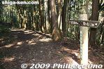 sg203-20090924_3097.jpg