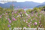 yg251c-20090924_3263.jpg