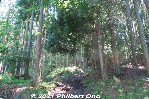 Trail up the mountain to Mt. Shizugatake.
Keywords: shiga nagahama lake yogo