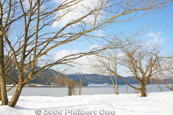 Lake Yogo cherry blossom trees in winter.
Keywords: shiga nagahama lake yogo