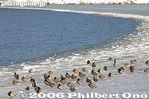 yo056-IMG_4978.jpg