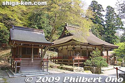 Next to Nishi Hongu is Usa-gu Shrine.
Keywords: shiga otsu shinto hiyoshi taisha shrine 