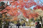 a107f-20161126-0048.jpg