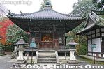 a135-IMG_3573.jpg