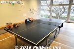 Filename=oe226-20161126-0457.jpg
Filesize=28KiB
Dimensions=500x333
Date added=May 29, 2017 oe226-20161126-0457.jpg