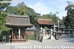12-IMG_3344.jpg