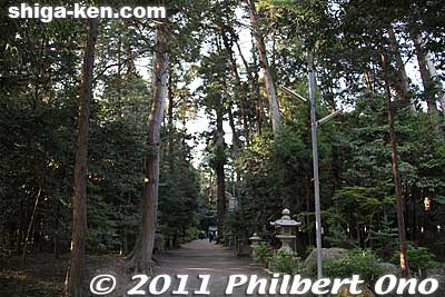 Short, wooded path to the Higashi Honden shrine.
Keywords: shiga ryuo-cho ryuou namura shrine jinja