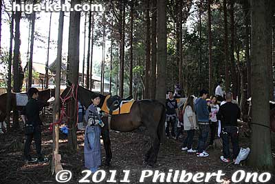 Meanwhile, a bunch of horses standby in the trees.
Keywords: shiga ryuo-cho ryuou namura shrine jinja Sekku Matsuri festival yabusame horseback archery