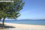 om230-IMG_3325.jpg