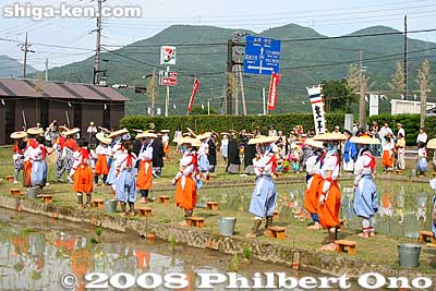 Taume rice planting girls leave the rice paddy.
Keywords: shiga taga-cho taga taisha shrine shinto festival matsuri rice seedlings paddy paddies planting