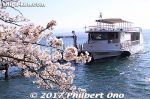 Filename=kn310-20170413-4093a.jpg
Filesize=46KiB
Dimensions=500x333
Date added=May 29, 2017 kn310-20170413-4093a.jpg
