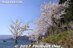 Filename=kn313-20170413-4138a.jpg
Filesize=48KiB
Dimensions=500x333
Date added=May 29, 2017 kn313-20170413-4138a.jpg