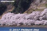 Filename=kn317-20170413-4345.jpg
Filesize=51KiB
Dimensions=500x333
Date added=May 29, 2017 kn317-20170413-4345.jpg
