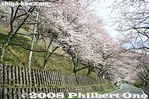 ko056-IMG_3820.jpg