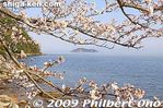 ko091-20090410_9539.jpg