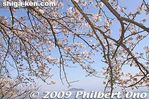 ko099-20090410_9284.jpg