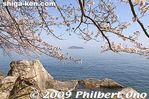 ko100-20090410_9293.jpg