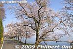 Filename=ko119-20090410_9362.jpg
Filesize=40KiB
Dimensions=400x267
Date added=Jul 10, 2009 ko119-20090410_9362.jpg