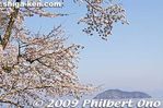 ko123-20090410_9372.jpg
