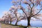 ko125-20090410_9385.jpg