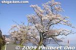 ko132-20090410_9406.jpg