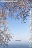 ko140-20090410_9453.jpg