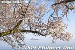 ko143-20090410_9481.jpg