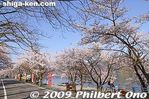 ko146-20090410_9420.jpg