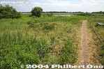 hr259-IMG_7241.jpg