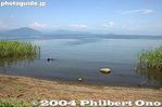 hr263-IMG_7253.jpg