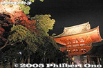 Filename=ht216-IMG_1975.jpg
Filesize=25KiB
Dimensions=400x267
Date added=Dec 07, 2005 ht216-IMG_1975.jpg
