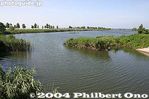 IMG_5714.jpg